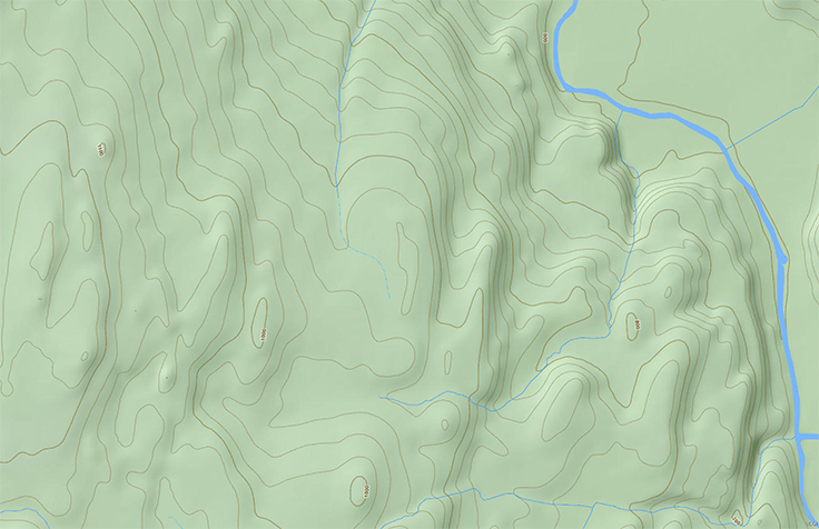 Elevation